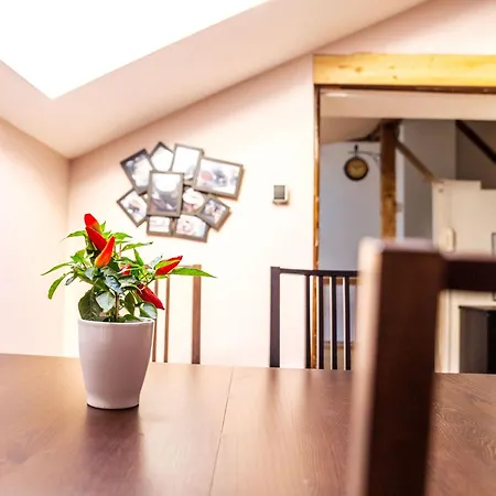 Loft Sven * Baden-Baden