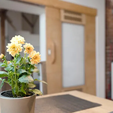 Loft Sven Appartement