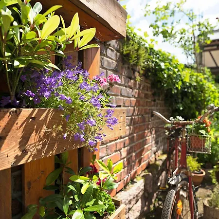 Appartement Loft Sven