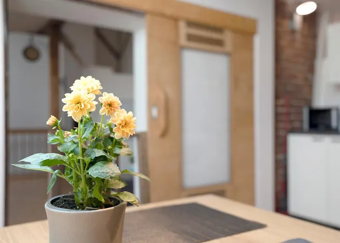 Loft Sven Apartamento